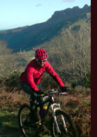 Casa rural Frantxilla en Renteria, Guipuzcoa