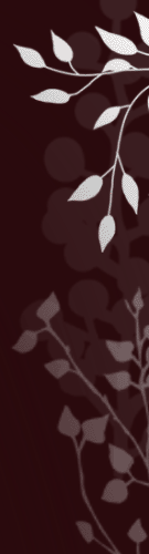 Casa rural Frantxilla en Renteria, Guipuzcoa